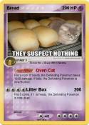 Bread