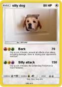 silly dog