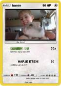 hamie