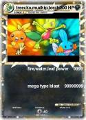 treecko,mudkip,torchic