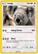 Koala
