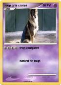 loup gris