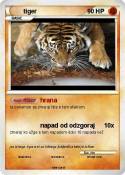 tiger