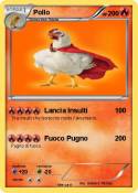 Pollo