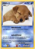 chiot