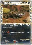 Xd kotki