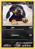 wener dog