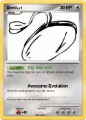 Seed