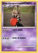 galgo