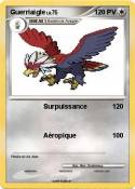 Guerriaigle