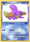 Mudkip