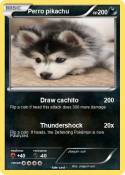 Perro pikachu