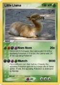 Little Llama
