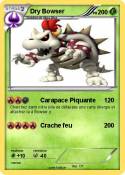 Dry Bowser