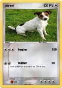 ptirsel