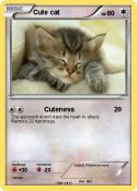 Cute cat