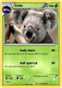 koala