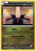Destroyer of