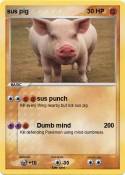 sus pig