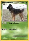berger allemand