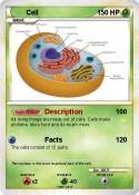 Cell