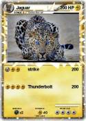 Jaguar