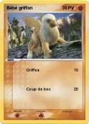 Bébé griffon