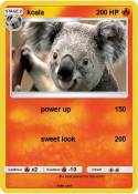 koala