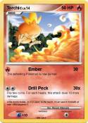 Torchic