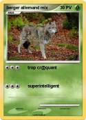 berger allemand