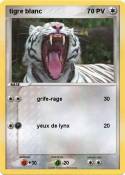 tigre blanc