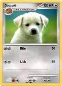 Dog