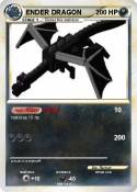 ENDER DRAGON