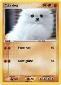 Cute dog