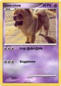 chow-chow