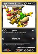 triple bowser