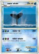 water whale