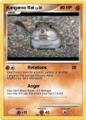 Kangaroo Rat