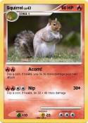 Squirrel