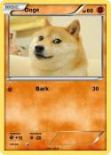 Doge