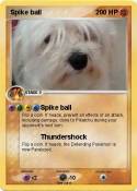 Spike ball