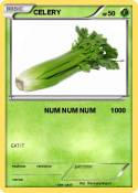 CELERY