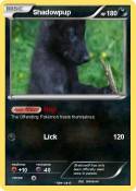 Shadowpup