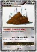 caccamen