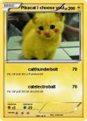 Pikacat I choos