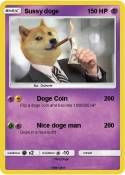 Sussy doge