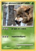 berger allemand