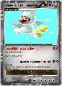mario tanuki