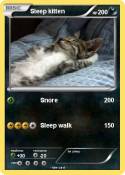 Sleep kitten