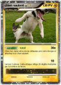 chien sautent